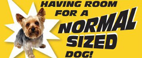 Imagine having room for a normal sized dog!